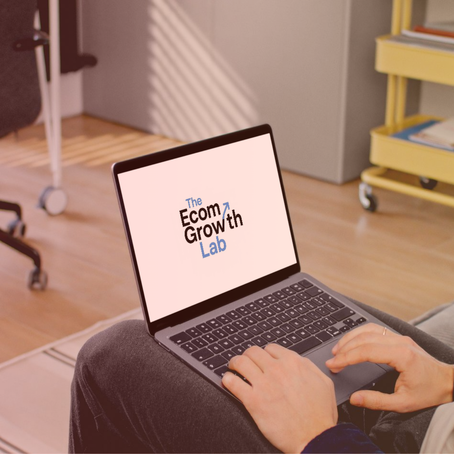 The Ecom Growth Lab